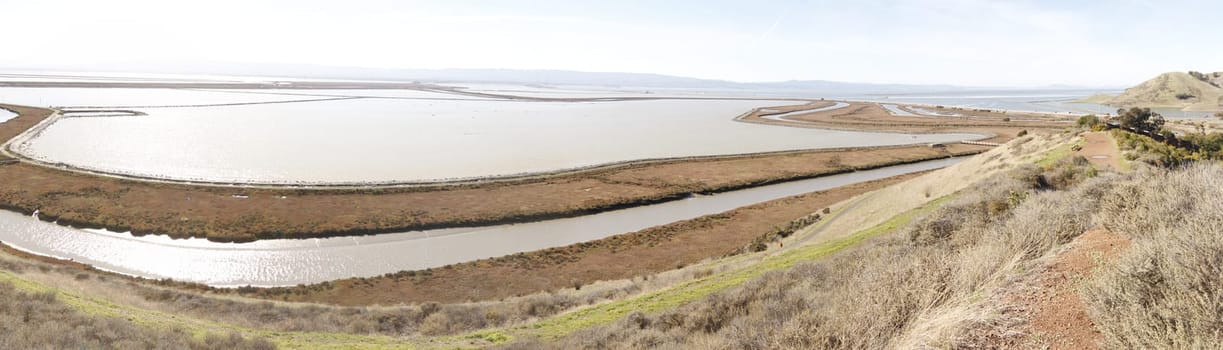 Don Edwards National Wildlife refuge