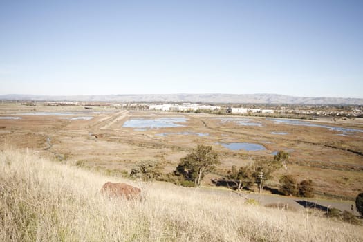 Don Edwards National Wildlife refuge