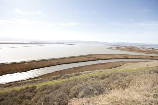 Don Edwards National Wildlife refuge
