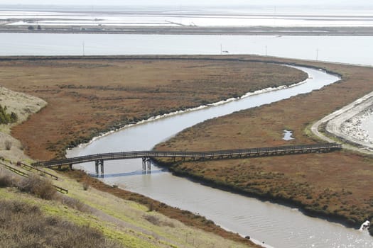 Don Edwards National Wildlife refuge