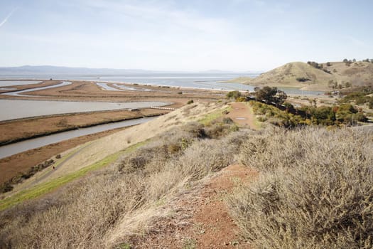 Don Edwards National Wildlife refuge