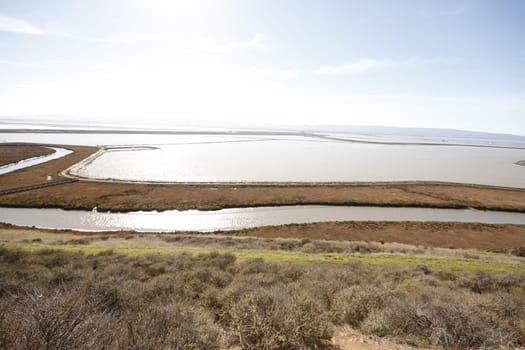 Don Edwards National Wildlife refuge