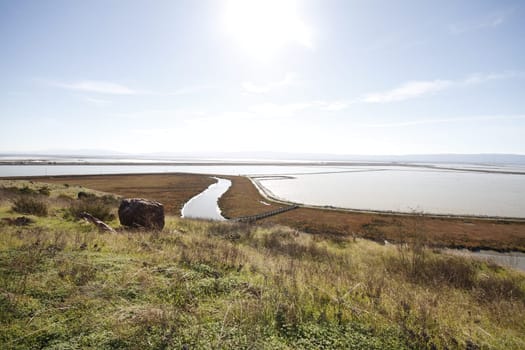 Don Edwards National Wildlife refuge