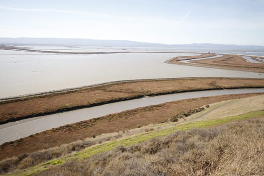 Don Edwards National Wildlife refuge