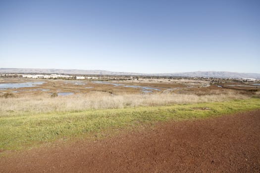 Don Edwards National Wildlife refuge