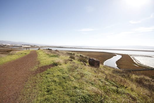 Don Edwards National Wildlife refuge