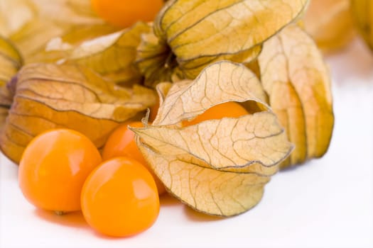 Fresh small physalis on white background, jam-berry fruits