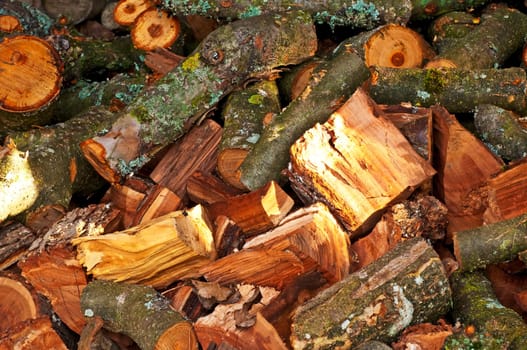 Firewood