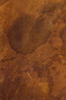 Leather texture
