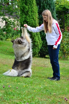 Child Dog Dog School