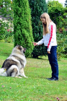 Child Dog Dog School