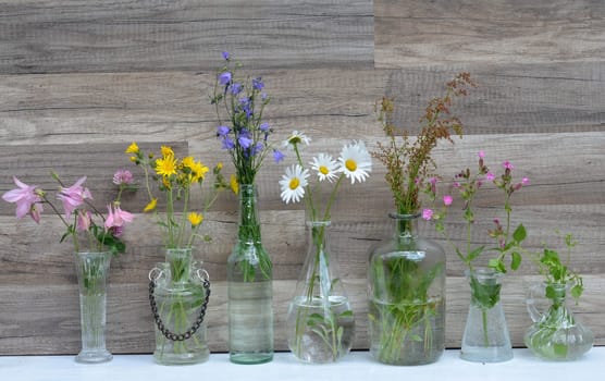 Herbs Meadow Flowers Vase