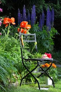 Garden Chair Flower Bed Colorful