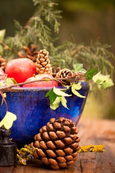 Winter decoration in the garden