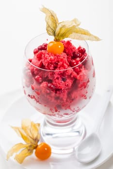 Sorbet for Christmas with cranberry, raspberry and strawberry