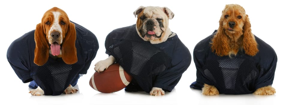 football team -