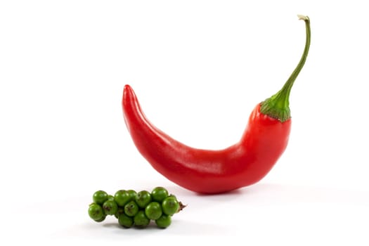 Chili,red pod against white background