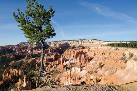Bryce Canyon National Park in Utah in the United States of America