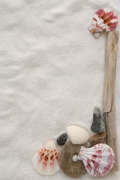 a holiday background with mussel and sand and driftwood