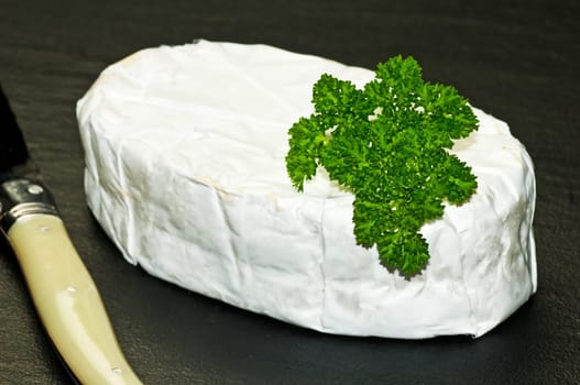 French soft cheese