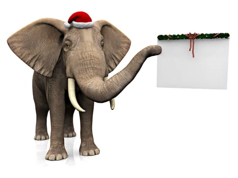 A big elephant holding a blank Christmas decorated sign in its trunk and wearing a Santa hat. White background.