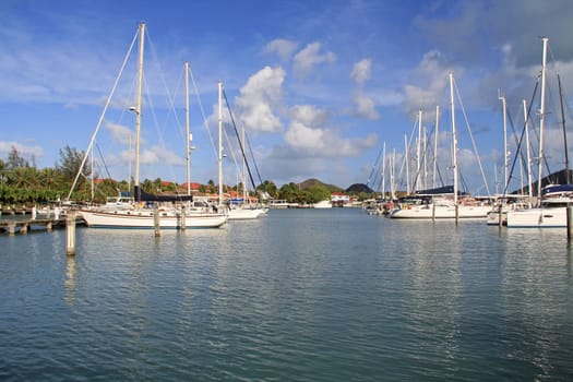 Sailboats docked at Jolly Harbour Marina in Antigua and Barbuda.