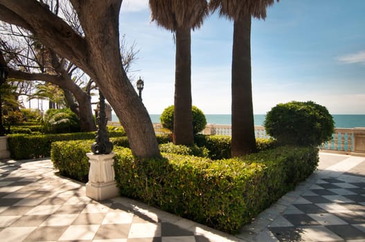 Palm trees and conifers in Cadiz, beautiful park