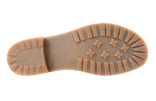 Beige sole isolated on white background