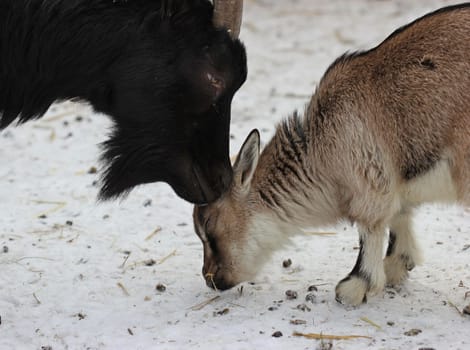 Have you washed your ears too?
