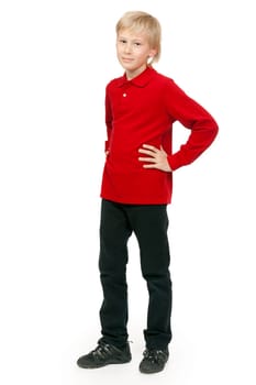 Portrait of a boy aged 10 years, isolate on white