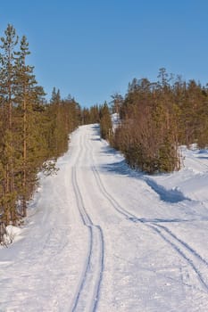 Freshly groomed empty cross-country ski track in woods