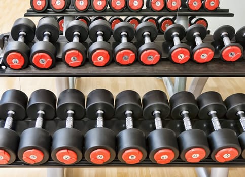 Heavy sports dumbbells in modern sports club