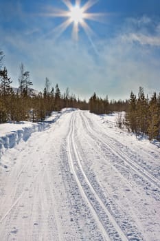 empty trails for cross-country skiing and winter sun