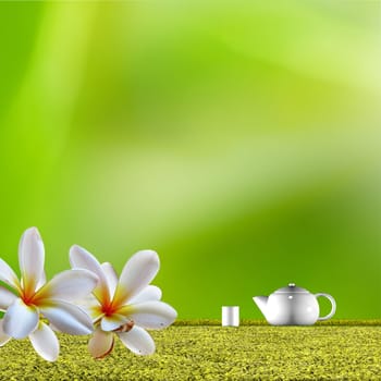 Teapot with nice green background for adv or others purpose use