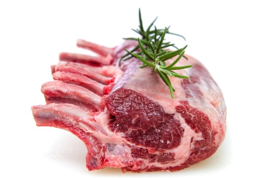 Raw lamb chop and green rosemary