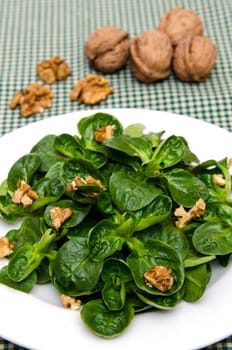 Green lamb's lettuce with walnuts on a white plate
