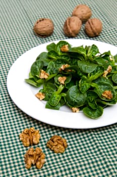 Walnuts on a green lamb's lettuce on a tablecloth