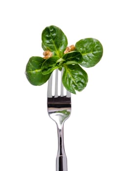 Green lamb's lettuce and walnuts on a fork