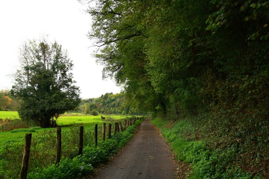 general view of way near farm in autumn