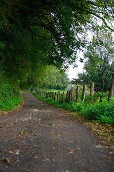 general view of way near farm in autumn