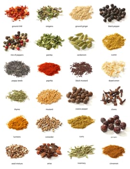 Different spices. Various colours and textures