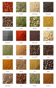Different spices. Various colours and textures