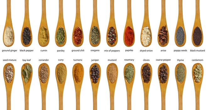 Different spices. Various colours and textures