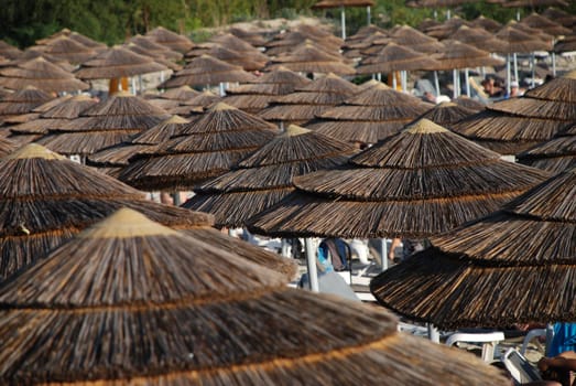 Beach umbrellas