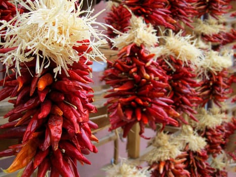 Dried chili peppers hanging on a market