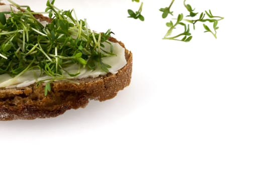 A bread with butter and fresh cress with sprouts in background