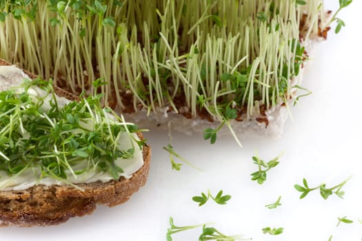 A bread with butter and cress in front of fresh cut cress