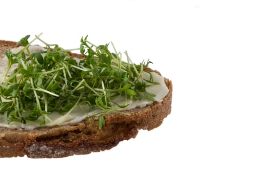 A bread with butter and fresh cress over white