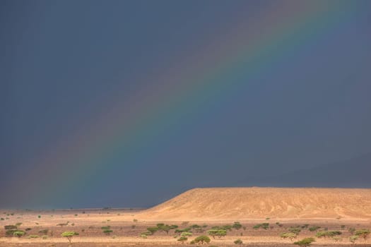 Rainbow on dark rainy sky in the Sahara desert of Morocco.