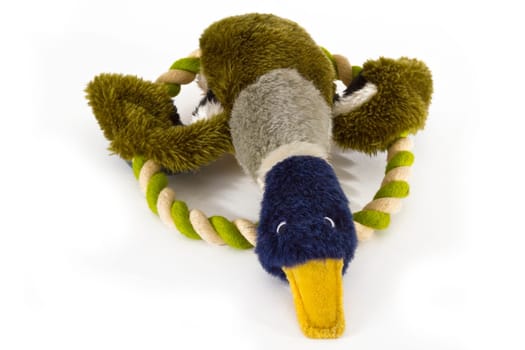 Dog toy on light background